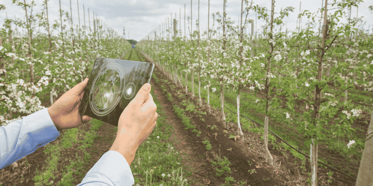 IoT Device Management Platforms, The Complete 2026 Guide for Growing Enterprises